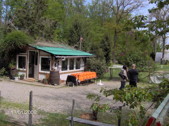 Nos bureaux et zone panoramique public
