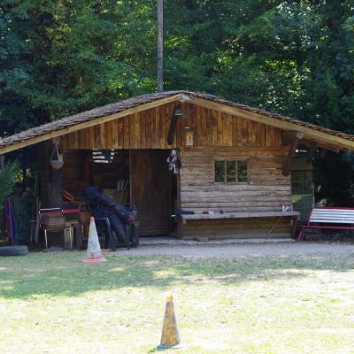 Imgp0954